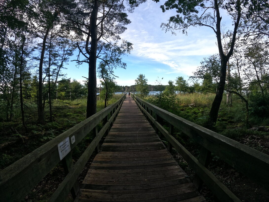 GOPR0524.JPG