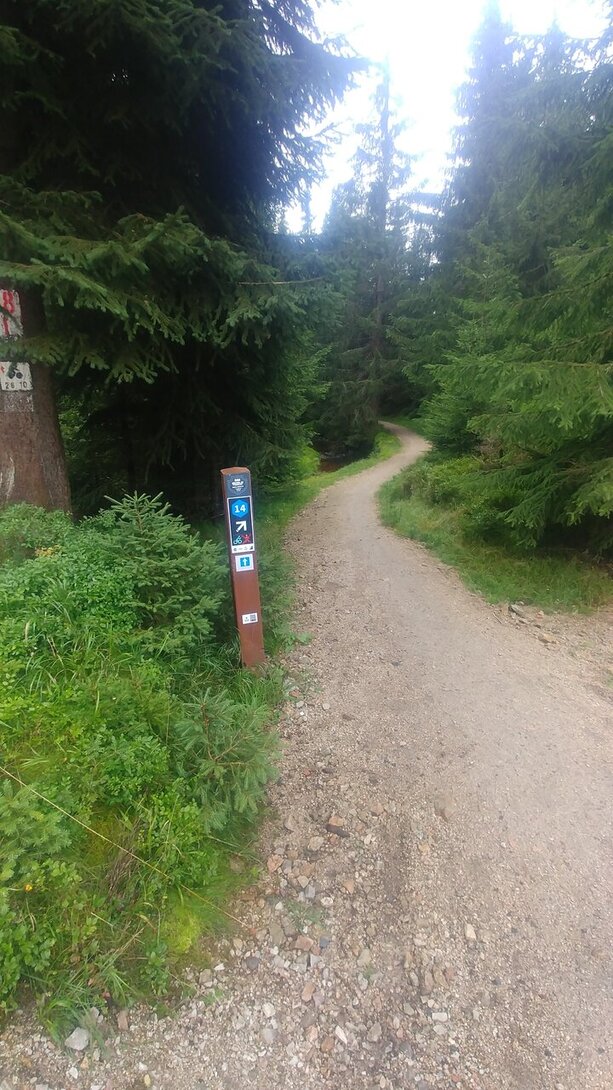 20200905_120232.jpg