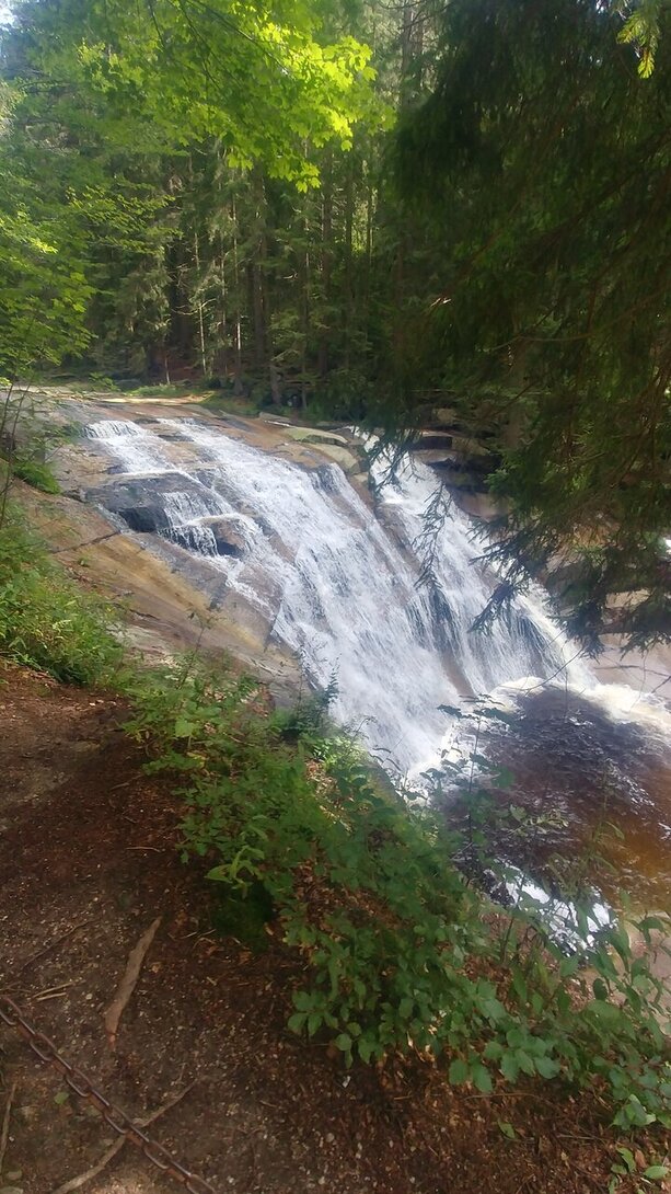 20200906_142607_HDR.jpg
