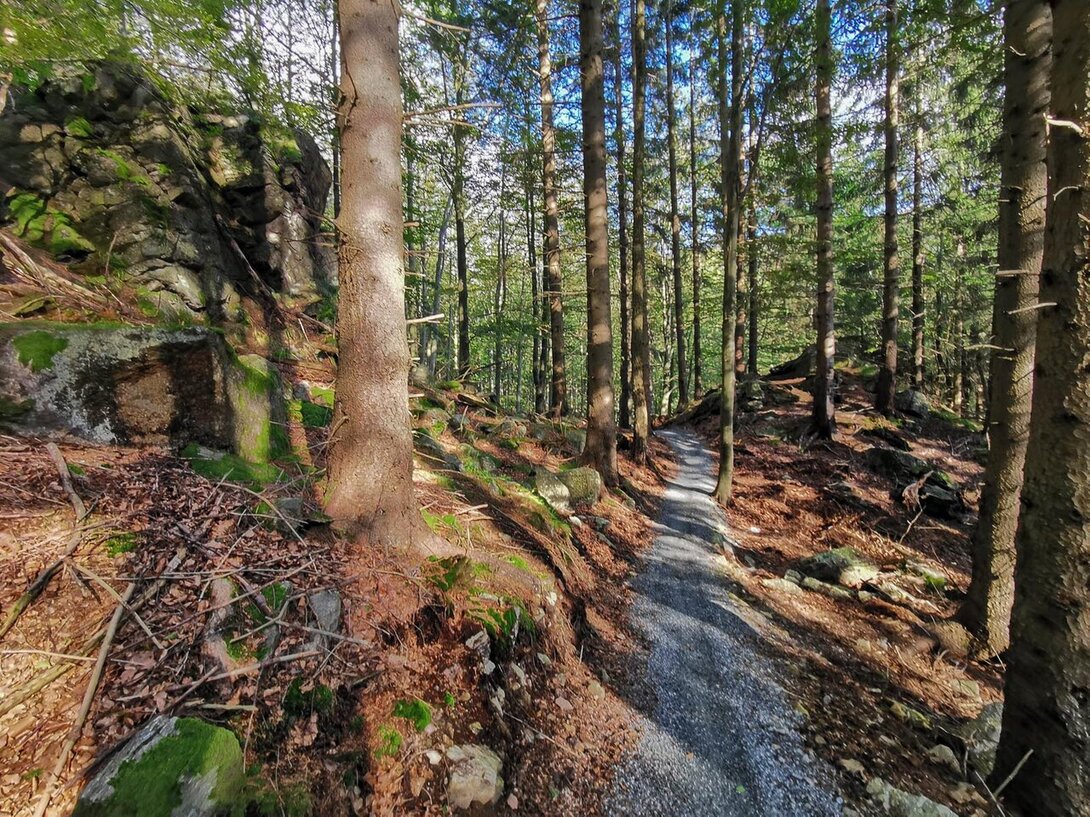 2095155017_IMG_20200903_163652SingletrackMidzygrzeczerwonyPM.thumb.jpg.7faa1676a2e023ebcc1e9033858756ec.jpg