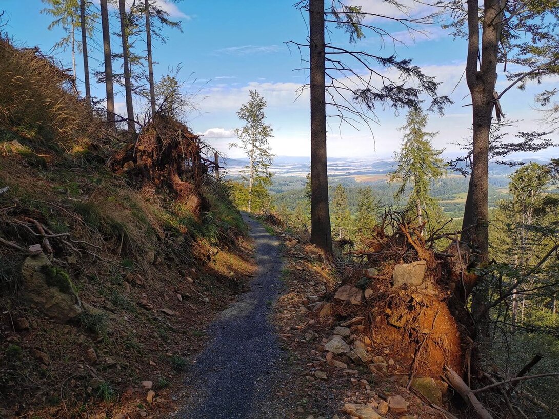 978587548_IMG_20200903_101522SingletrackMidzygrzeniebieskiPM.thumb.jpg.f9c22ff158ae17c99a371b68d1a1f080.jpg