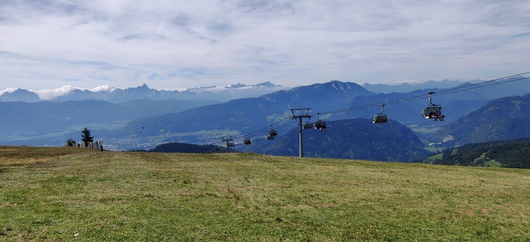 IMG_20200826_120517.thumb.jpg.c91f7dbf7f17ce2e7c08f61e787e3bea.jpg