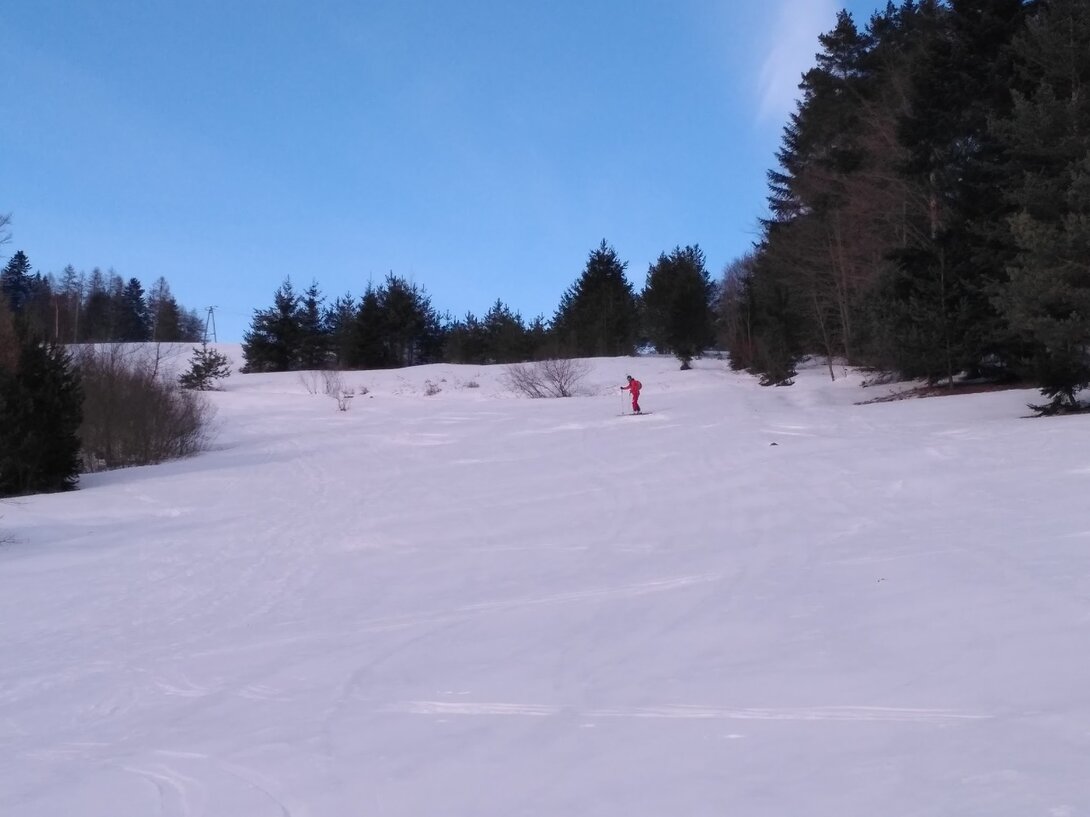 IMG_20190223_154303.jpg