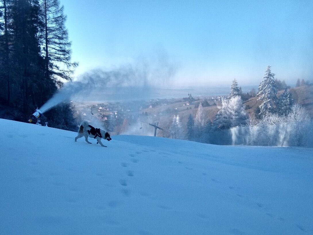 IMG_20201125_110338275_HDR.jpg