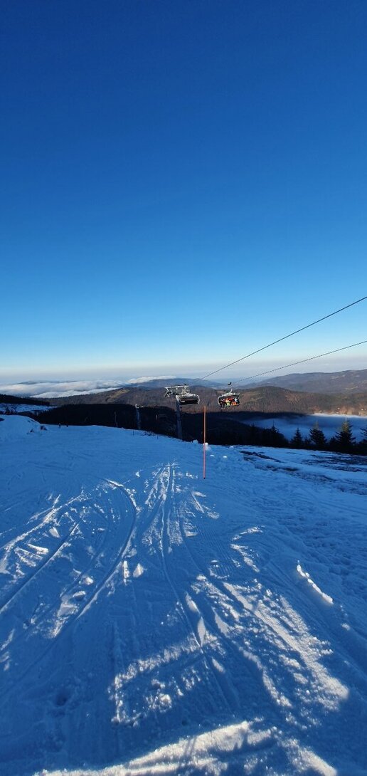 20201220_090823.jpg