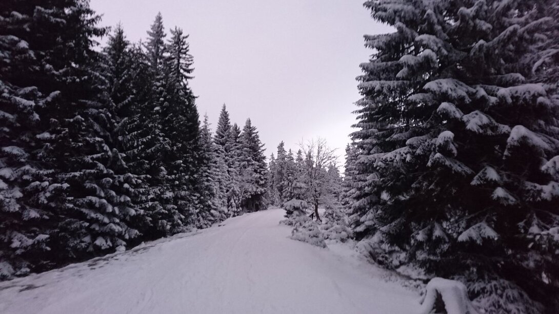 DSC_0110.JPG