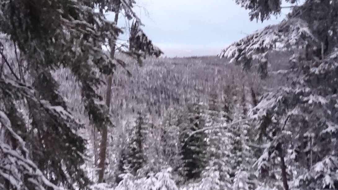 DSC_0111.JPG