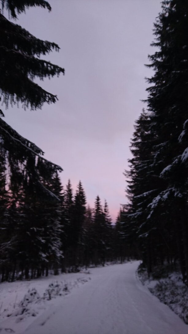 DSC_0117.JPG