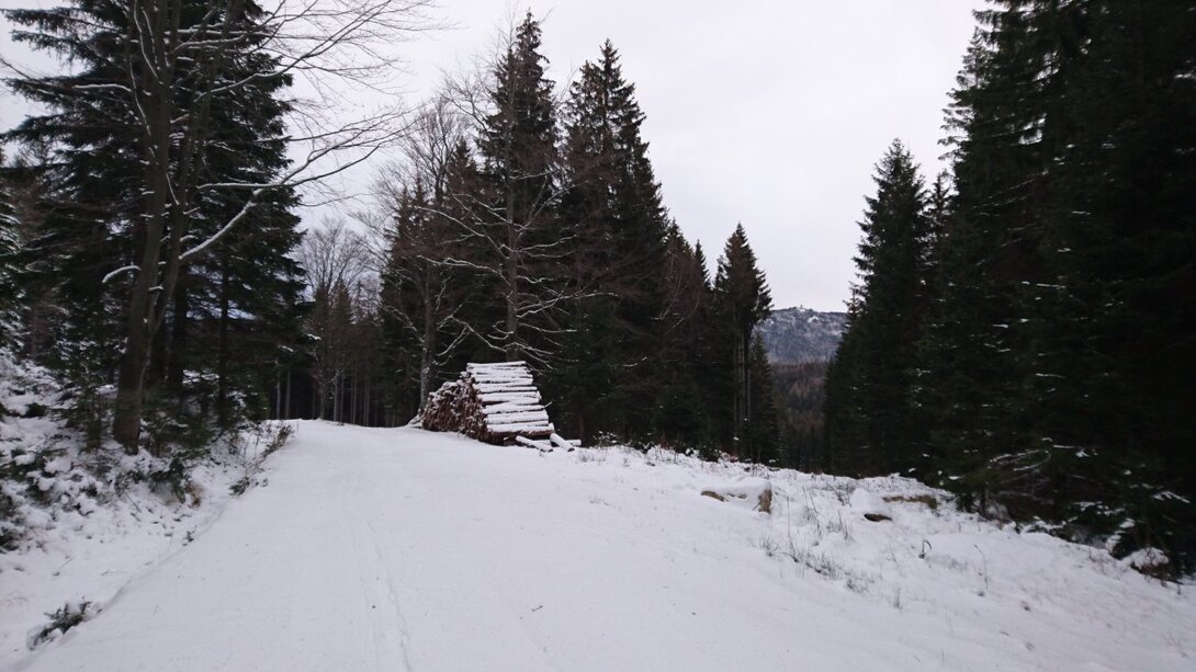 DSC_0125.JPG