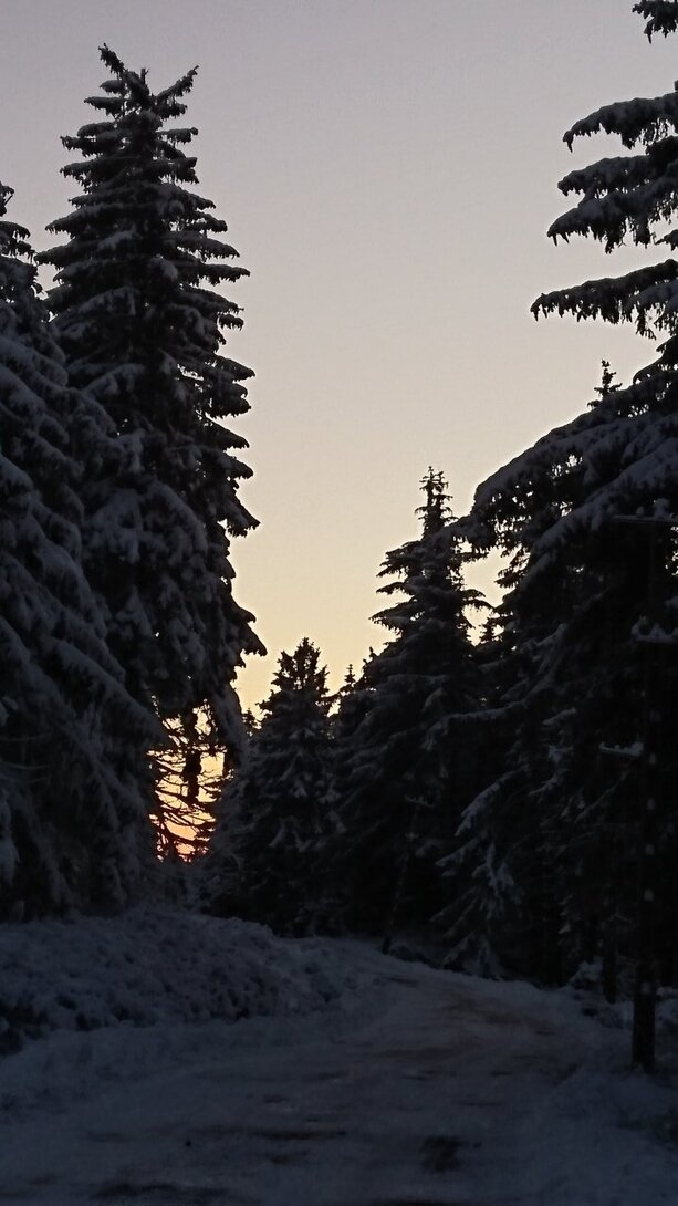 DSC_0194.JPG