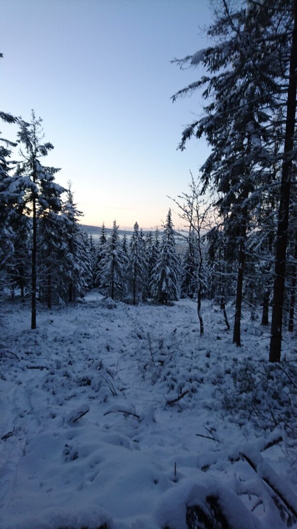 DSC_0197.JPG