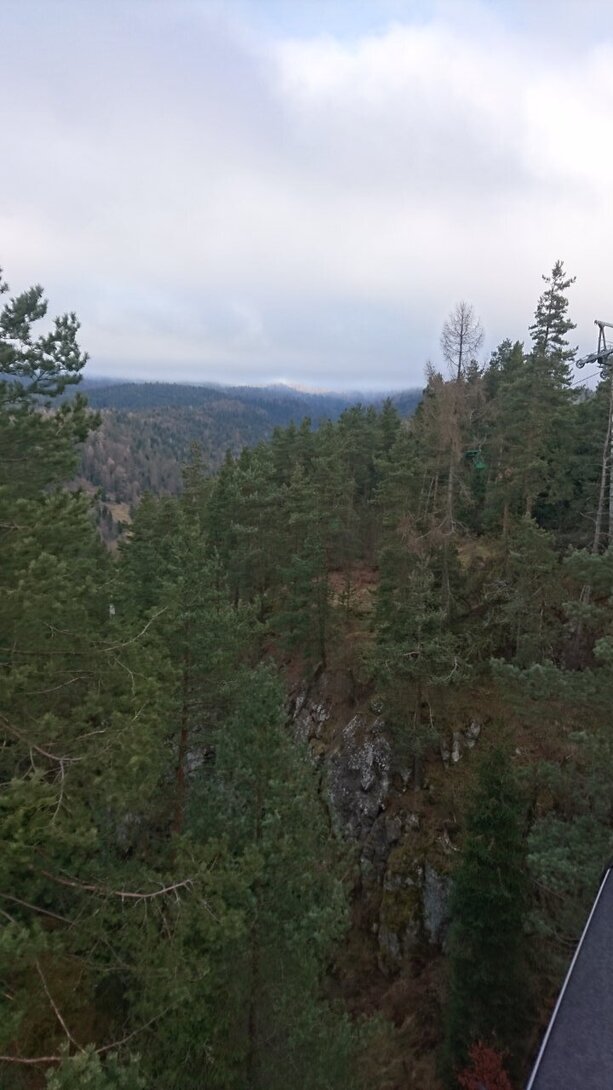 DSC_0980.JPG