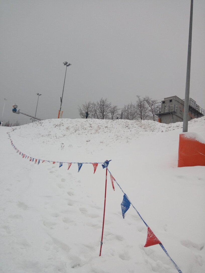 IMG_20201226_101317.jpg