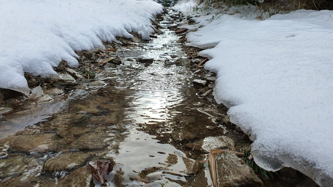 20201231_114248_resized.jpg