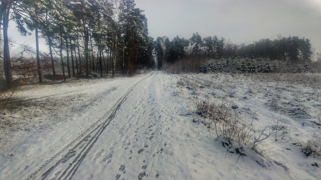 20210109_120141-01.jpeg