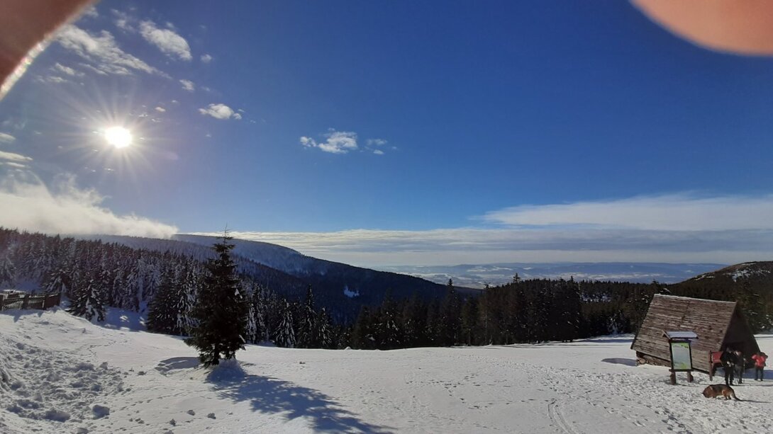 20210122_135012.thumb.jpg.67211222f559aceaf518ea2677dc5b90.jpg