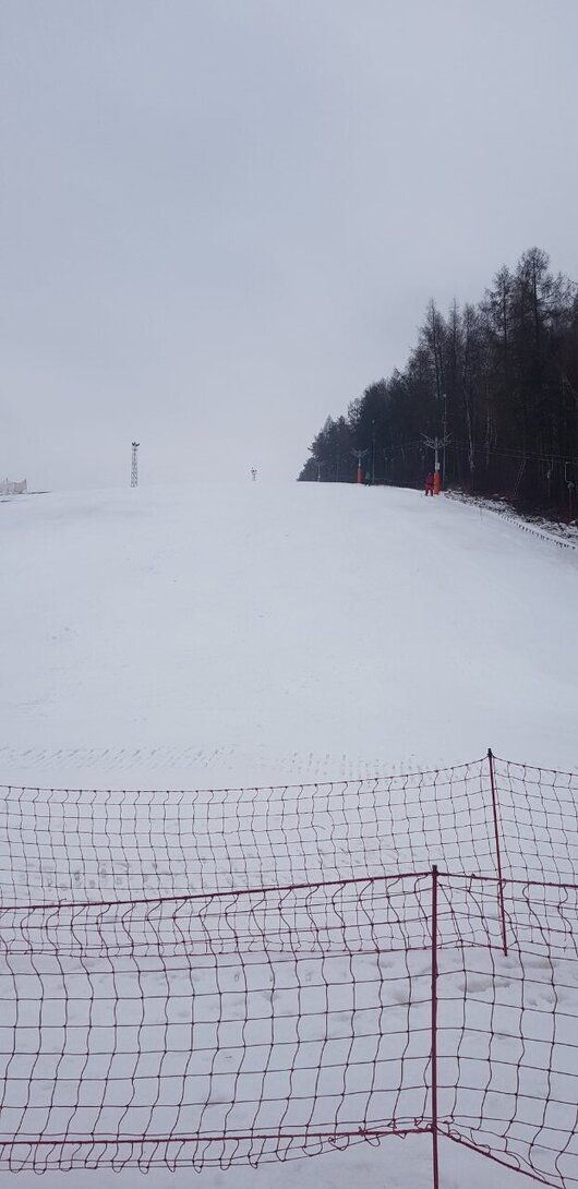 20210124_094019.jpg