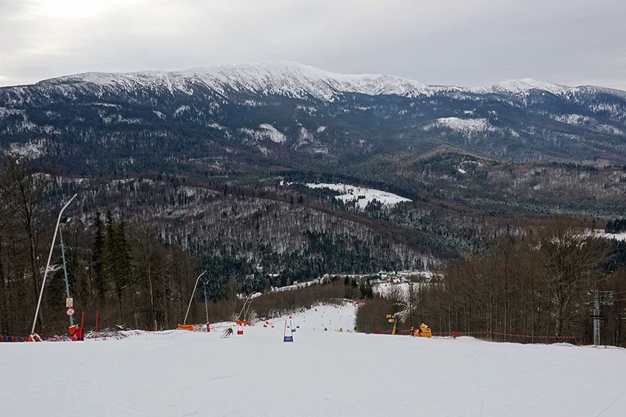 DSC03393.jpg.ec50fb3042239b8f5e4def4efaad85ac.jpg