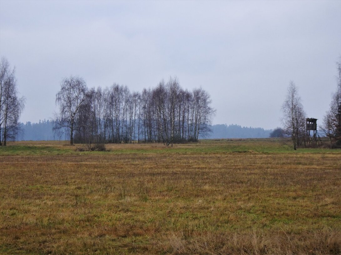 DSC08350.thumb.JPG.d52e36b3f200bca0ad0ff626c65e3e2b.JPG