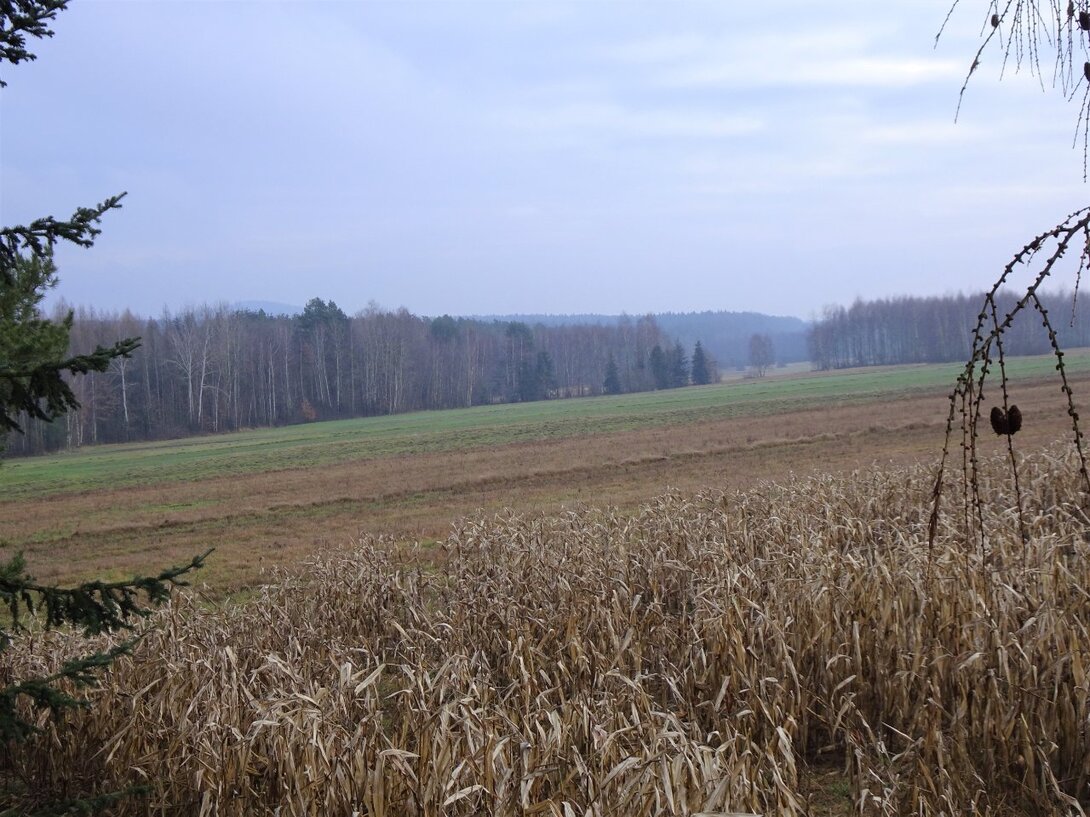 DSC08361.thumb.JPG.3bae9411c57234c8fd4a932ac176ff5e.JPG