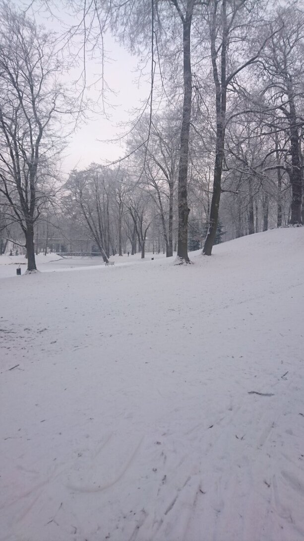DSC_2603.JPG