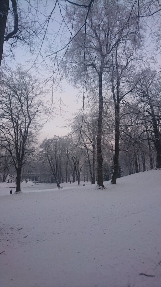 DSC_2604.JPG