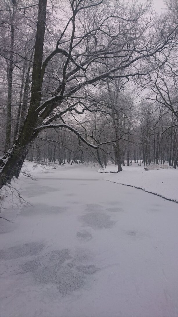 DSC_2608.JPG