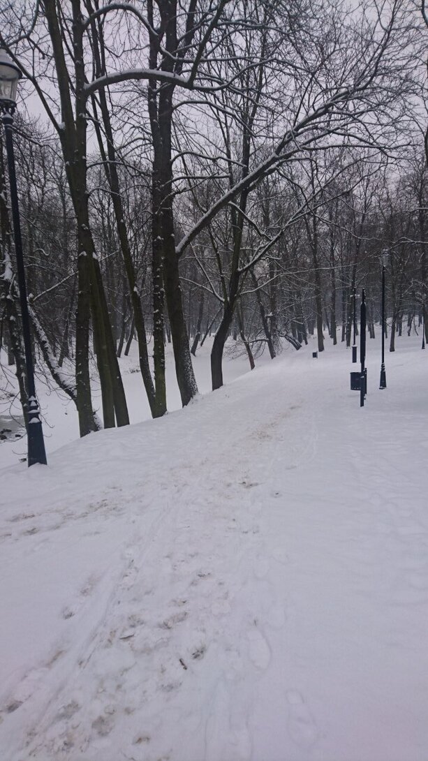 DSC_2623.JPG