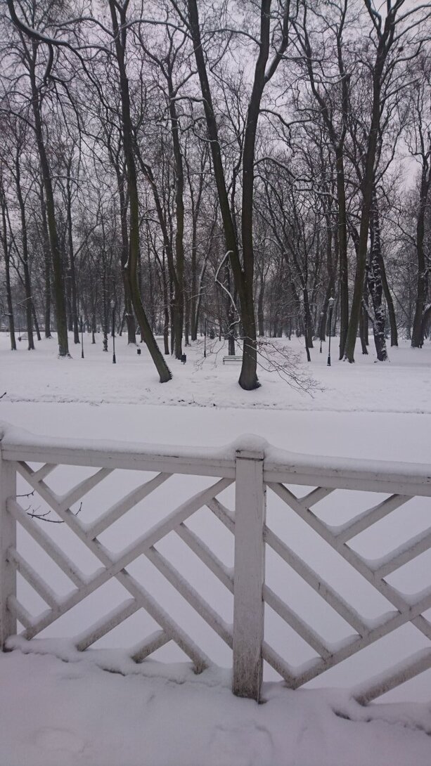 DSC_2627.JPG
