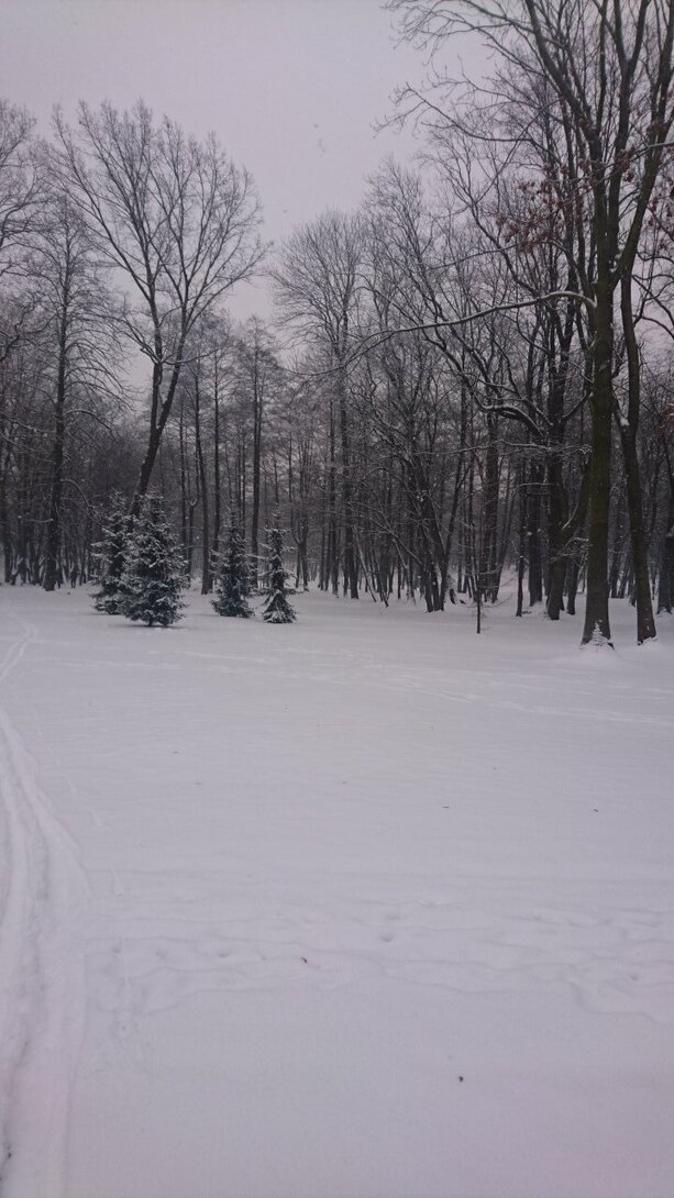 DSC_2635.JPG