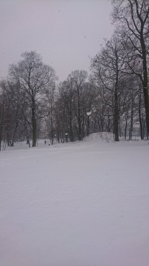 DSC_2639.JPG