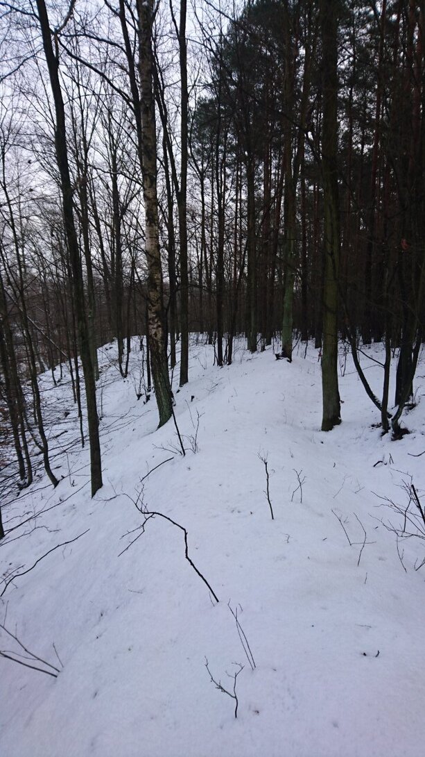 DSC_2668.JPG