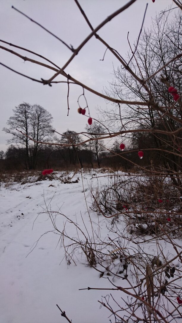 DSC_2693.JPG