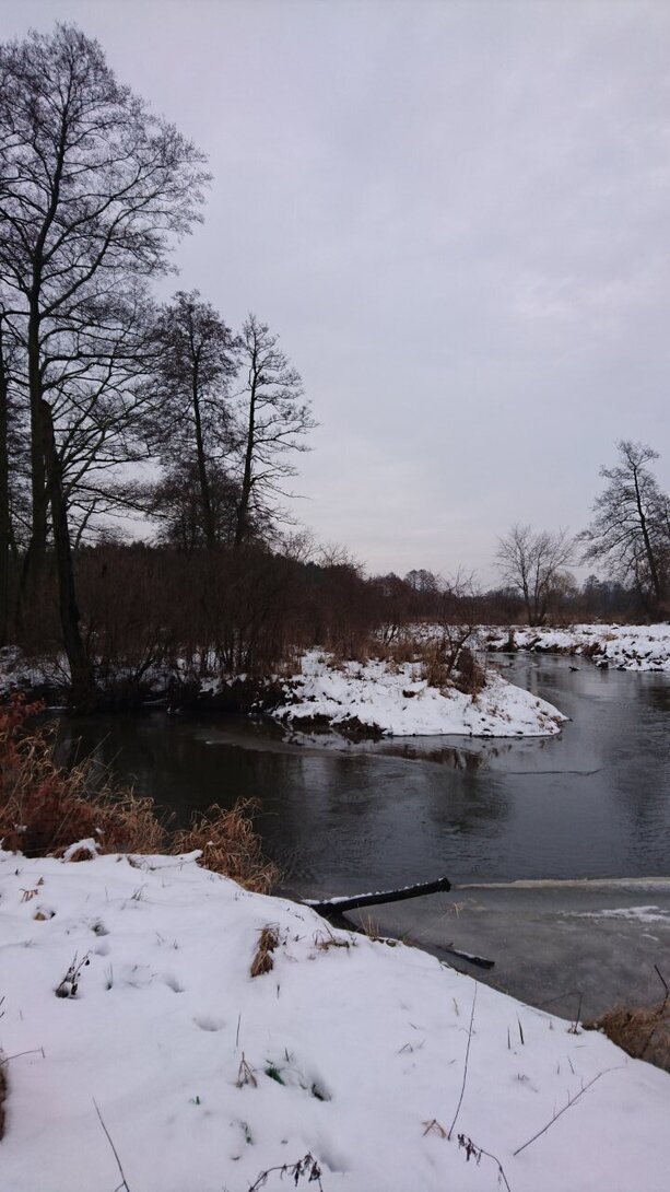 DSC_2721.JPG
