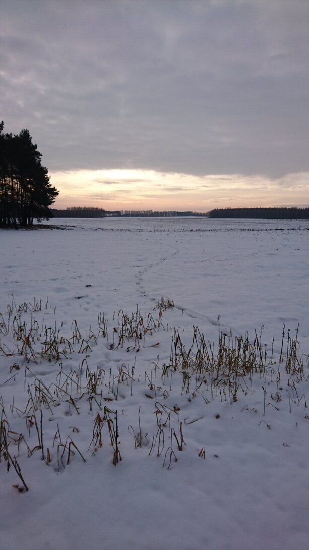 DSC_2743.JPG