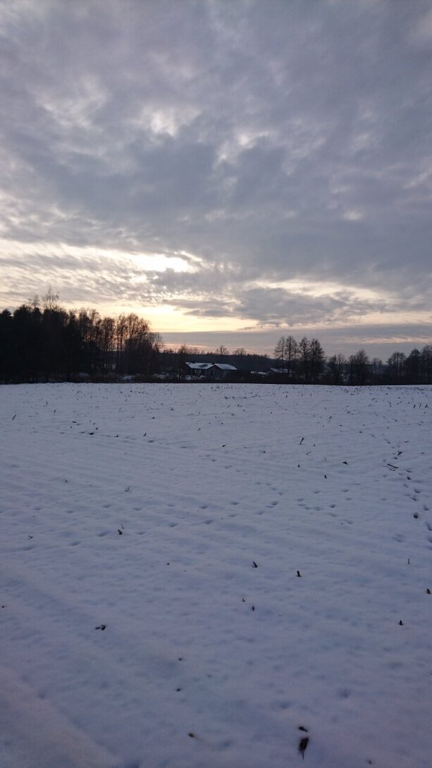 DSC_2757.JPG