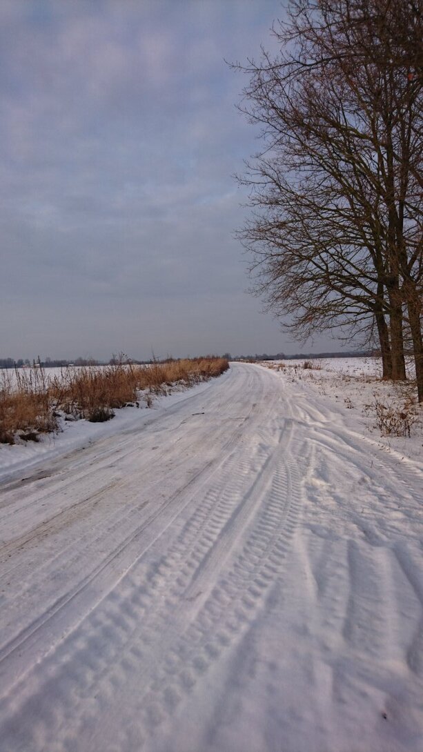 DSC_2774.JPG