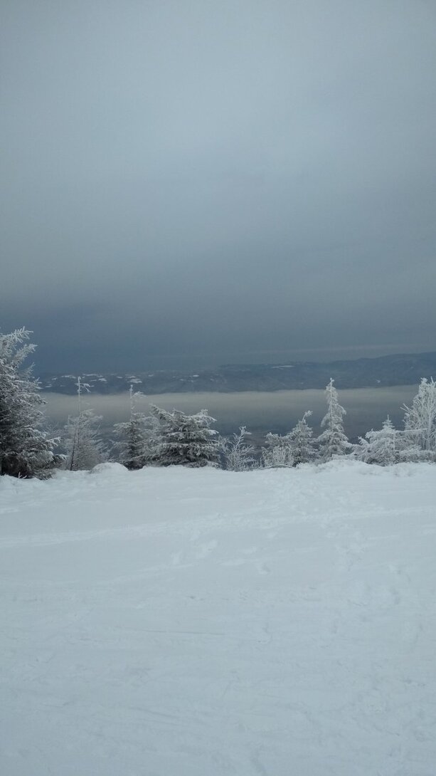 IMG_20210106_110250.jpg
