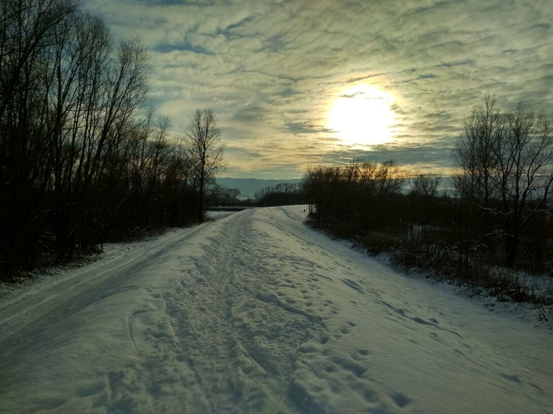 IMG_20210115_144400_HDR.thumb.jpg.8b48deb3f581613503bf38ad3afeecd3.jpg