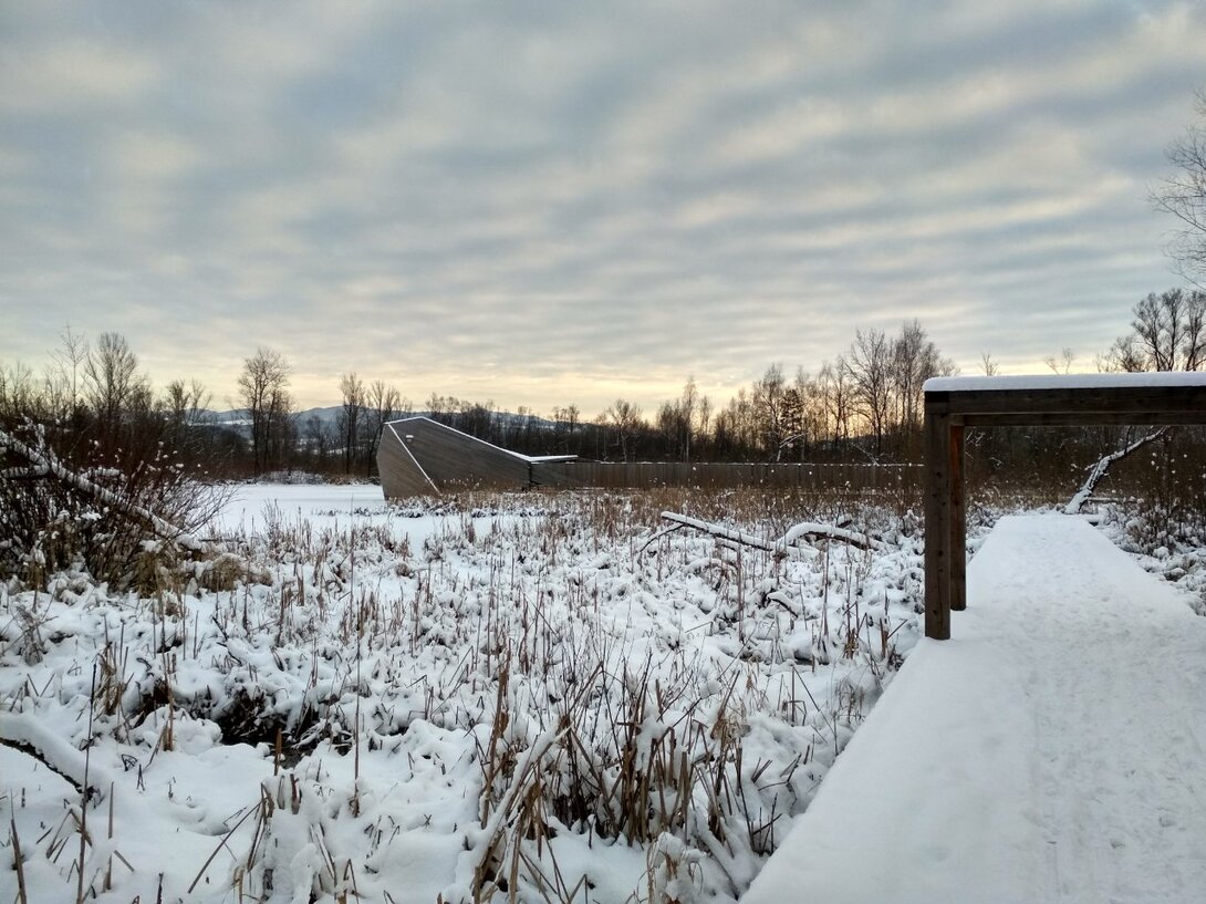 IMG_20210115_152539_HDR.thumb.jpg.37af115c26b6fb88d048fd6eebd3c822.jpg