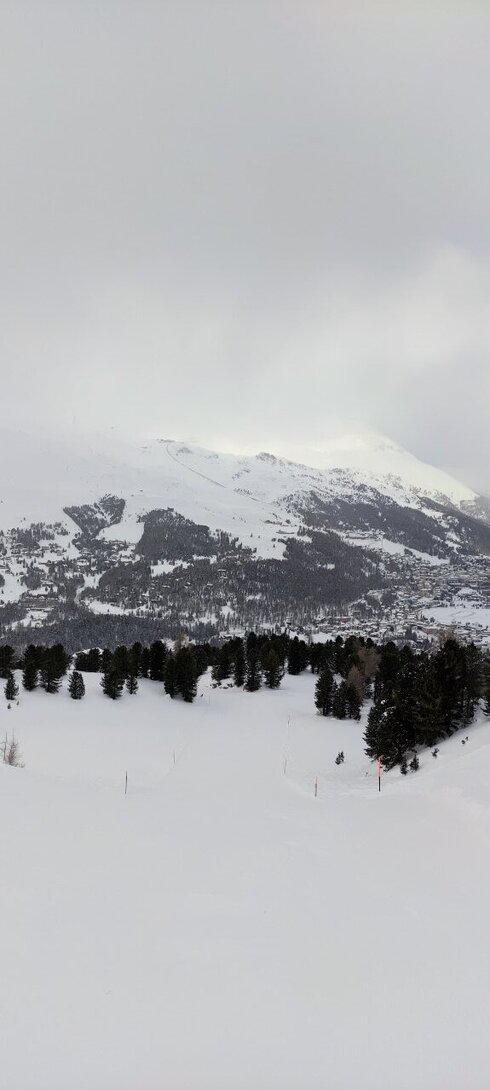 IMG_20210118_094525.jpg