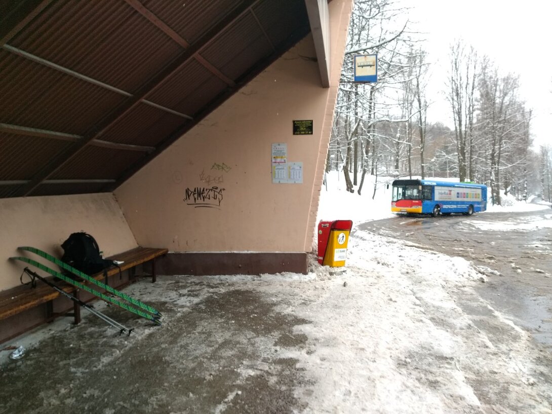 IMG_20210119_111523750.jpg