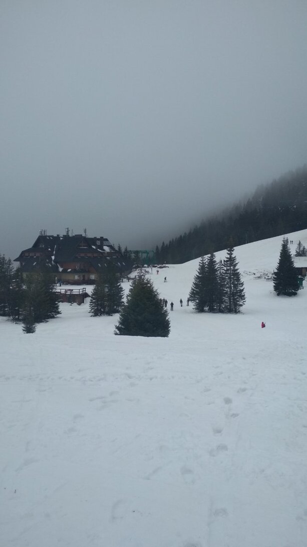 IMG_20210123_111124.jpg