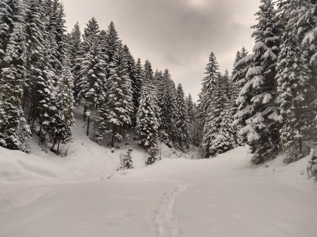 IMG_20210128_115652425_HDR.jpg
