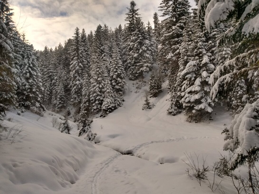 IMG_20210128_120301102_HDR.jpg