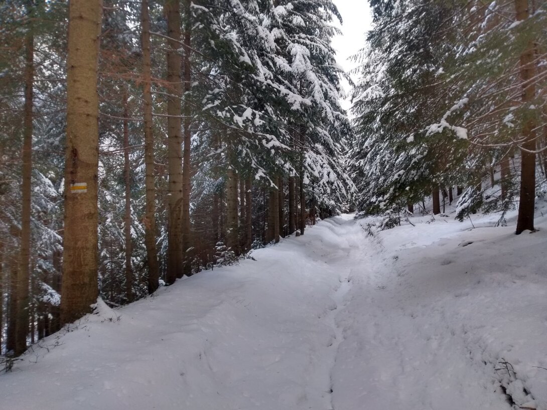 IMG_20210128_120521538_HDR.jpg