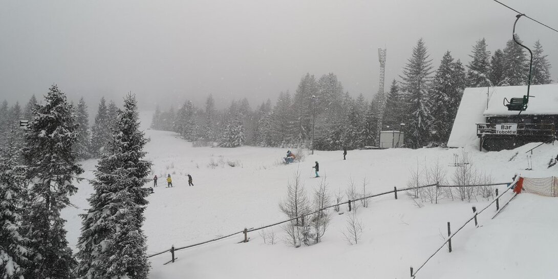 IMG_20210130_105010.jpg