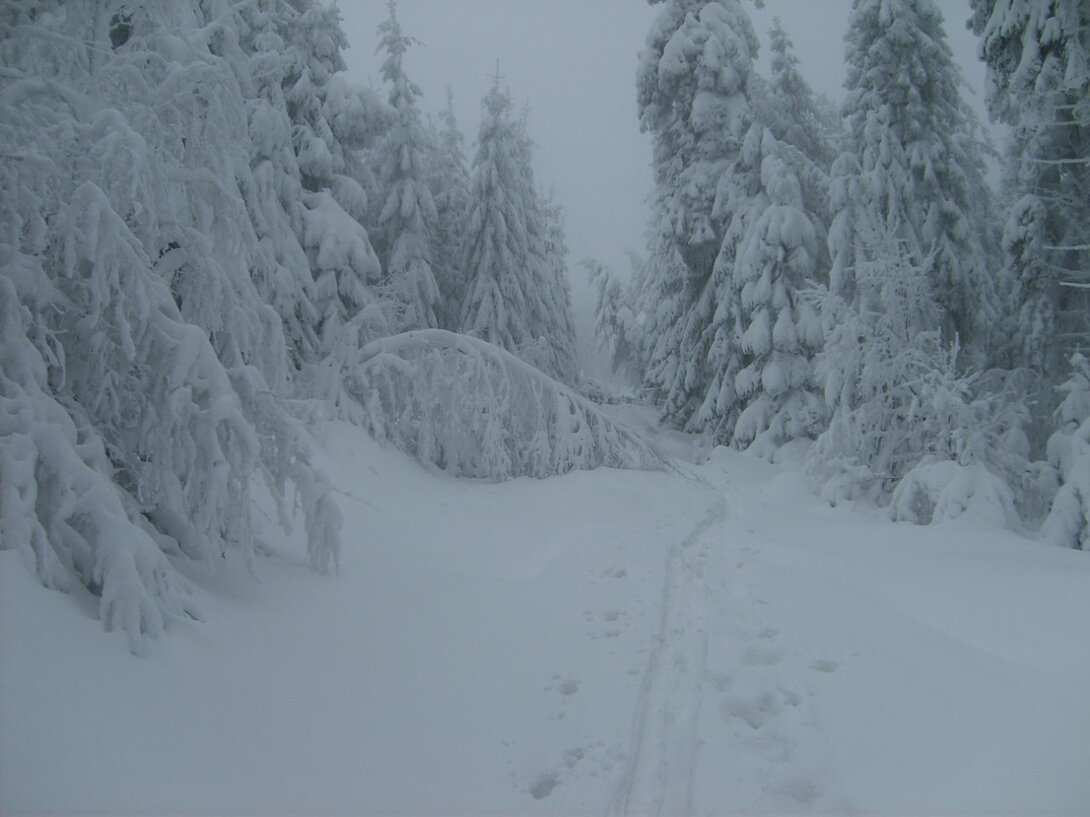 S5003498.JPG