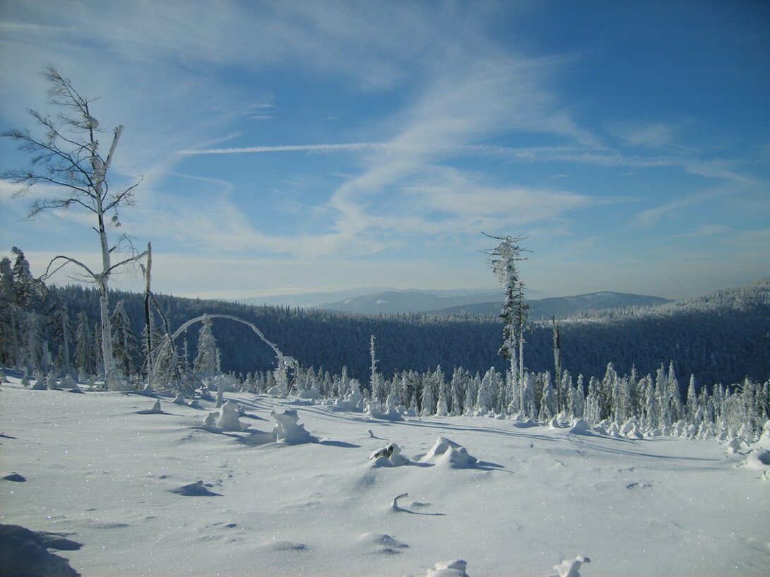 S5003507.JPG