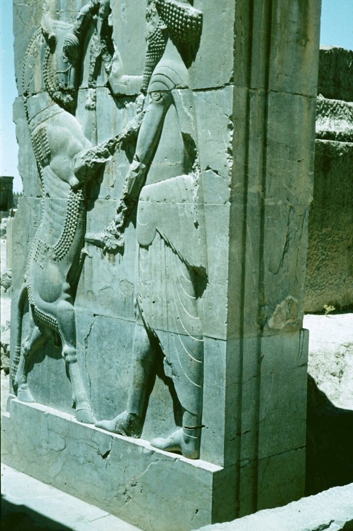 Persepolis_król i byk.jpg